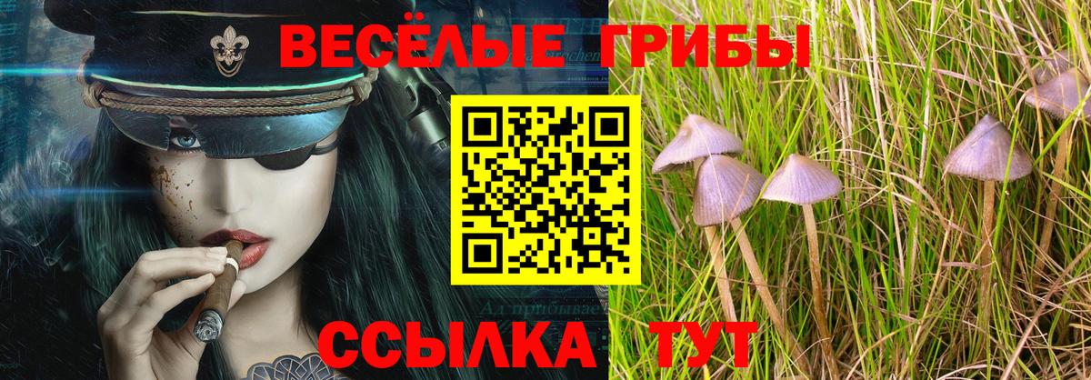 Псилоцибиновые грибы ЛСД Протвино