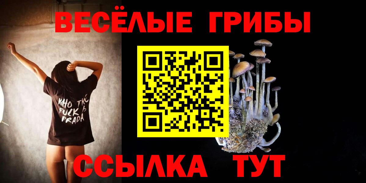 Псилоцибиновые грибы Magic Shrooms  Псилоцибиновые грибы прущие грибы  Вход с VPN  Протвино 